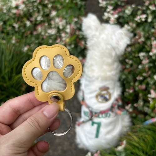 Pet hair keepsake keychain - pet, dog