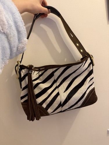 Rare coach zebra - zebra, pony
