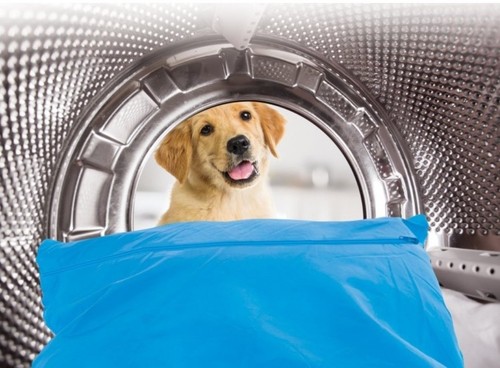 Pet hair laundry bag - bag, xl